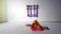 Stop motion animation